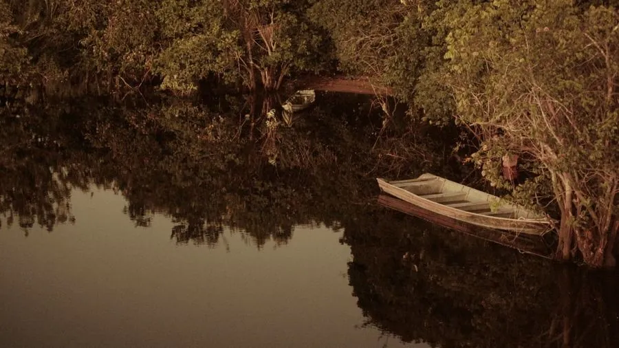 Canoas em igarapé