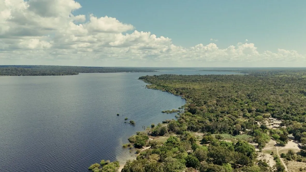 Vista aérea de rio e floresta amazônica, cena do documentário The Hope Economy